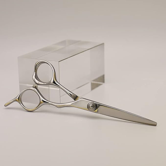 AOLANDUO Professional Shears for Hair Cutting, VG10 Steel Scissors to Cut Hair Professional, Precision Barber & Hair Stylist Shears, Ergonomic, 1 Count, 5.5 Inch