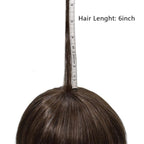 FACE MIRACLE Toupee for Men French Lace Cnter Mens Toupee Human Hair Replacement System Skin PU Hairpiece for Man V-Looped Front Hair Prosthesis 6"X8" #230 2# DARKEST BROWN WITH 30% SYNTHETIC GREY