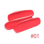 Erinde Lips Staining Lip Oil, Glossy Lip Stain, Long-Lasting Lightweight Lip Staining Oil, Moisturizing Plumping Hydrating Glossy Lip Tint, Vegan & Cruelty-Free, 01