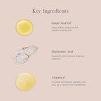 Jouer Soft Focus Hydrate & Setting - Pressed Powder with Matte Finish - Blurring Powder for Fine Lines and Pores - Set Face Makeup Foundation or Concealer - Translucent