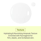 SCINIC Cicanoid Ampoule 3.38 fl oz (100ml) | Anti-Aging & Dark Spot Correcting Serum | Korean Skincare