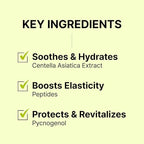 SCINIC Cicanoid Ampoule 3.38 fl oz (100ml) | Anti-Aging & Dark Spot Correcting Serum | Korean Skincare