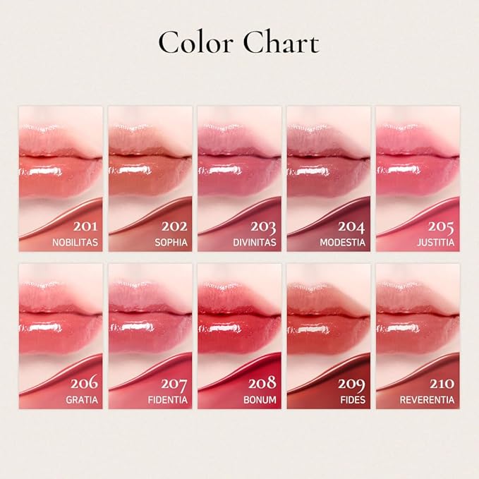 DINTO Blur-Glowy Lip Tint (225 Passiō)