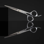 Fromm Transform 5.75" Extra Smooth Hair Cutting Shears for Wet and Dry Hair, Polished Silver Japanese Steel Scissors with Beveled Blade