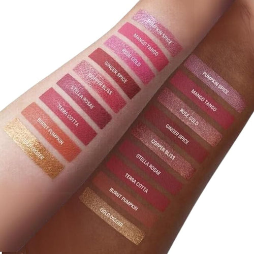 Aromi Terra Cotta Matte Liquid Lipstick | Long-Lasting, Burnt Orange Lip Color for Women, Nutmeg, Ginger Shade, Vegan, Handmade (Terra Cotta)