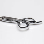 Fromm Professional Explore 5.75" Hair Cutting Shears for Wet and Dry Hair, Polished Silver Japanese Steel Scissors with Beveled Blade