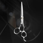 AOLANDUO Convex Edge Hair Cutting Scissors 6" Japanese VG10 Steel, Professional Salon Shears, Offset Handle, Ergonomic, Includes Case & Accessories, Silver White, 1 Count