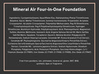 Mineral Air Four-in-One Foundation for Mineral Air Mist Device—Color, 28 ml, Standard Size - Porcelain