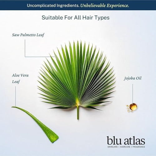 Blu Atlas Men's Natural Shampoo – Organic, Sulfate-Free, Paraben-Free – Deep Cleansing & Hydrating – Classic Scent (Bergamot, Sage, Patchouli) – Made in America– 8 oz