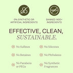 Ingreendients Detangler and Leave In Conditioner made with Organic ingredients - Sulfate-Free, Color-Safe, Silicone-Free, Cruelty-Free, Gluten Free (9.6 FL OZ)