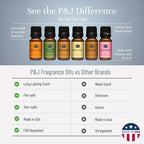 P&J Trading Fragrance Oil Winter Set | Cinnamon, Gingerbread, Sugar Cookies, Harvest Spice, Peppermint, and Christmas Wreath Candle Scents for Candle Making, Freshie Scents, Soap Making Supplies