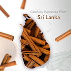 HBNO Organic Cinnamon Bark Essential Oil - 1 oz (30ml) Size - Ideal for Diffusers, Cleaning Agents, Skincare, and Haircare.