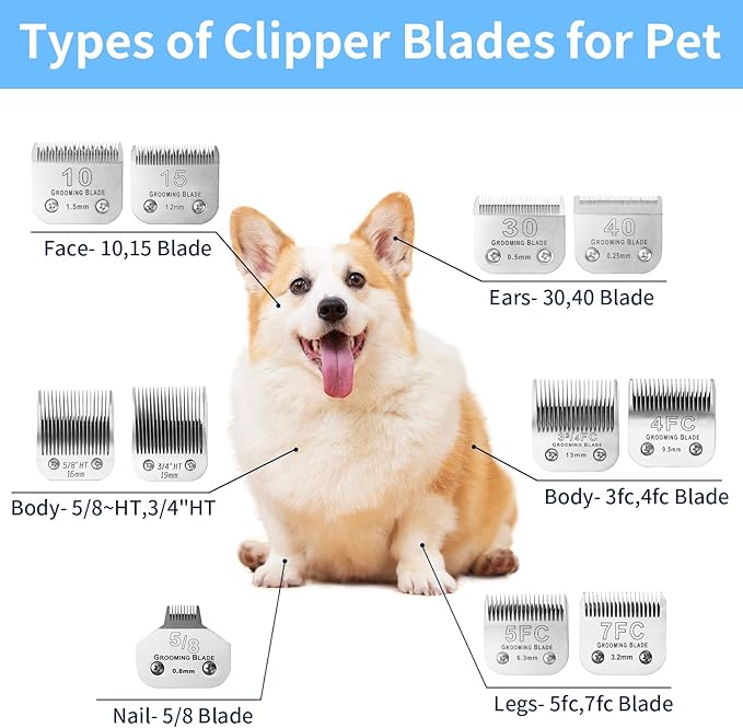 2 Pcs Size 3/4HT Detachable Dog Grooming Blades, Compatible with Andis, Oster A5, Wahl KM10 Series Clippers, Cut Length 19mm, Silver(3/4HT 19mm, 2 Packs)
