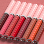 AMY'S DIARY 2pcs Matte Dark Red Lip Liner & Lipstick&Shiny Clear Lip Oil Makeup Set, Liquid Lipstick 24H and Lip Liner Set Matt Liquid Lips Make Up Waterproof Long Lasting (01#, 2 Pcs Set)