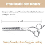 JASON 6" Blending Hair Scissors, 30 Teeth Hair Thinning Scissor Professional Trimming Hair Cutting Shears for Barber, Hairdresser, Stylist, Women and Men, Japanese 440C Stainless Steel Christmas Gift