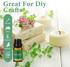 Essential Oils Blends Set for Diffusers for Home, Aromatherapy Diffuser Oil Scents - Calming, Sweet Dreams, Immunity, Relax, Mood, Fresh Air, Fragrance Oils for Diffusers, Massage, for Halloween6*10ML