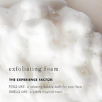 Bioelements Flash Foam Cleanser - 6.5 fl oz - Exfoliating Foam Cleanser for Oily, Combination & Dry Skin - Vegan, Gluten Free