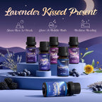 SALUBRITO Good Night Fragrance Oils, Premium Essential Oil Set for Diffuser, Soap, Candle Making scents, Nighty Night, Well Rested, Tranquility, Sweet Dream, Bed Time, Lavender Breeze