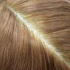 Toupee for Men French Lace Human Hair Replacement Systems Lace Center with Poly Around Hair Piece Mens Toupee Hair Units for Man V-Looped Front Male Hair Units 6"X9" 17R#BROWN/BLONDE MIX WARM TONE