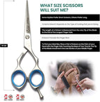 Blizzard Professional Hair Cutting Scissors – 6 inch VG10 Cobalt Haircut Shears with Razor Sharp Blades - Matt Finish Barber Hairdressing Travel Case for Salons & Home Use