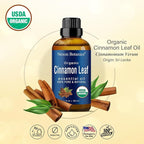 Organic Cinnamon Essential Oil 30 ml - Pure, Natural Oils for Aromatherapy, Diffusers, DIY, Candle and Soap Making Scent - Nexon Botanics