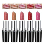 Anglicolor 5pcs Glitter Lipstick High Impact Lipcolor,Lipstick Moisturizing Creamy Formula,Metallic Lipstick For Women For Vegan & Cruelty-Free,Full-Coverage Lip Color (#B, 20g)