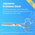 Equinox Professional Hair Scissors Set - Premium Essential Kit, Includes Hair Cutting Scissors, Thinning Shears, Straight Razor, Basic Comb, Cleaning Cloth, & Sandpaper - Hair Salon & Barber Supplies
