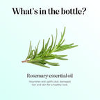 Pure Rosemary Essential Oil for Aromatherapy - Undiluted Rosemary Oil for Hair Skin and Nails - Essential Oil for Diffusers Plus Hair Oil for Enhanced Shine Cleansing and Dry Scalp Treatment