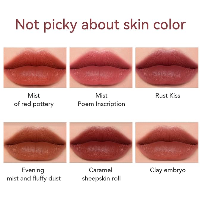 Matte Lipstick for Women, Long Lasting Moisturizing Lip Stain, Waterproof Lip Color Makeup (Salmon Pink)