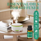 Essential Oils Blends Set for Diffusers for Home, Aromatherapy Diffuser Oil Scents - Calming, Sweet Dreams, Immunity, Relax, Mood, Fresh Air, Fragrance Oils for Diffusers, Massage, for Halloween6*10ML