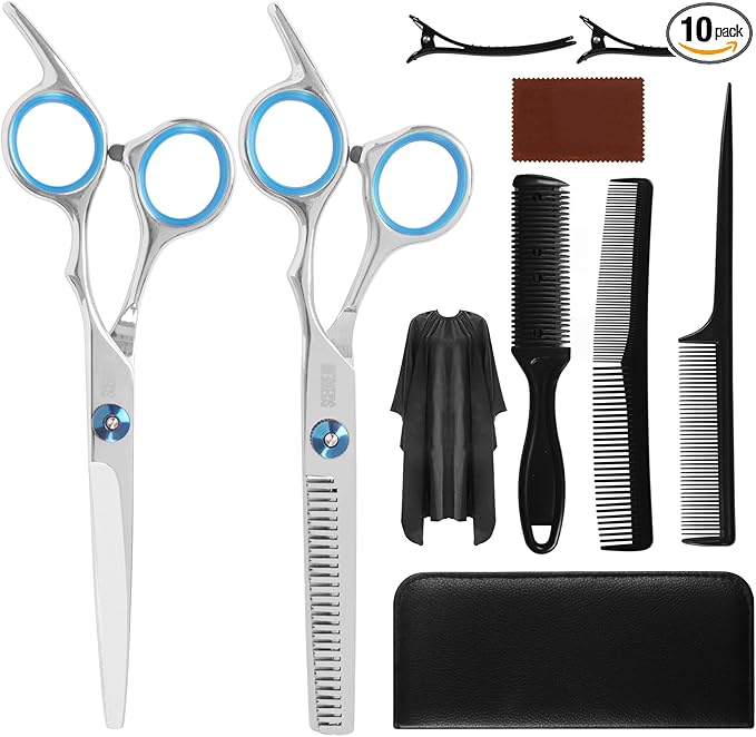 10-Piece Hair Cutting Scissors Kit - Professional Set with Thinning Scissors, Comb, Cape, Clips, Leather Bag for Barber, Salon, Home