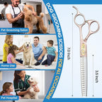 JASON Professional Dog Grooming Scissors - 7 Inch Chunker Shear Japanese 440C Stainless Steel Diamond Screw with 21 Fishbone Teeth Dog Thinning Scissors Christmas Gift