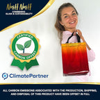 Nush Nush Rise Gradient Gift Bags Medium Size - Set of 12 Sunset Yellow & Red Gift Bags with Handles & Iridescent Finish - Ideal Goodie Bag for Birthday Party Favors, Christmas, Return Gifts - 8x4x10