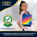 Nush Nush Gradient Gift Bags Bulk – Set of Reusable Rainbow Gift Bags With Medium Size and Holographic Finish - Ideal Goodie Bag for Birthday Party Favors, Kids Party, Events - 8x4x10
