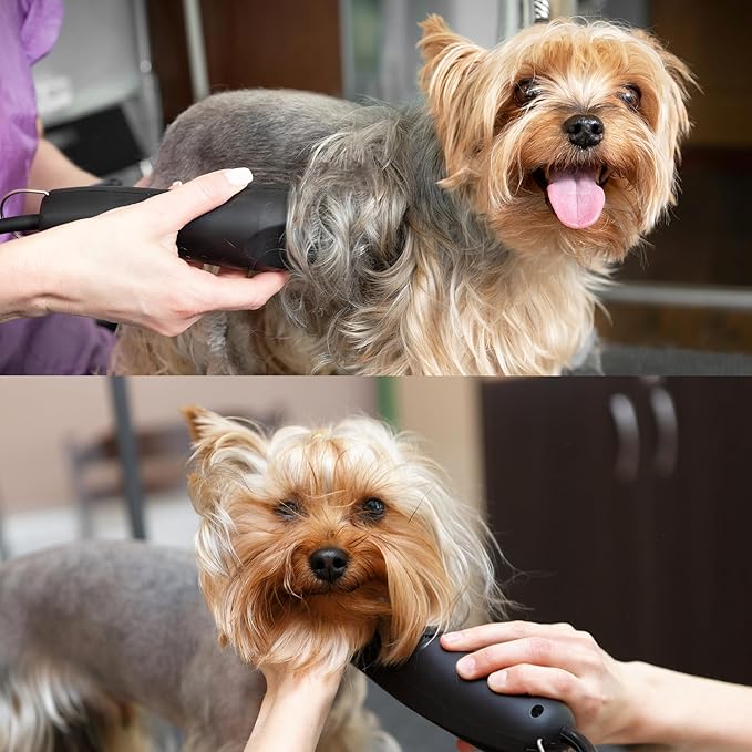 Detachable A Series Wide 5f Blade Dog Grooming Cuts Length 1/4" - 6.4mm Japanese High Carbon Steel Wide 6.4 mm Clipper Blade 5f | Detachable Blade Clippers (Compatible A5 Series(B5FW)