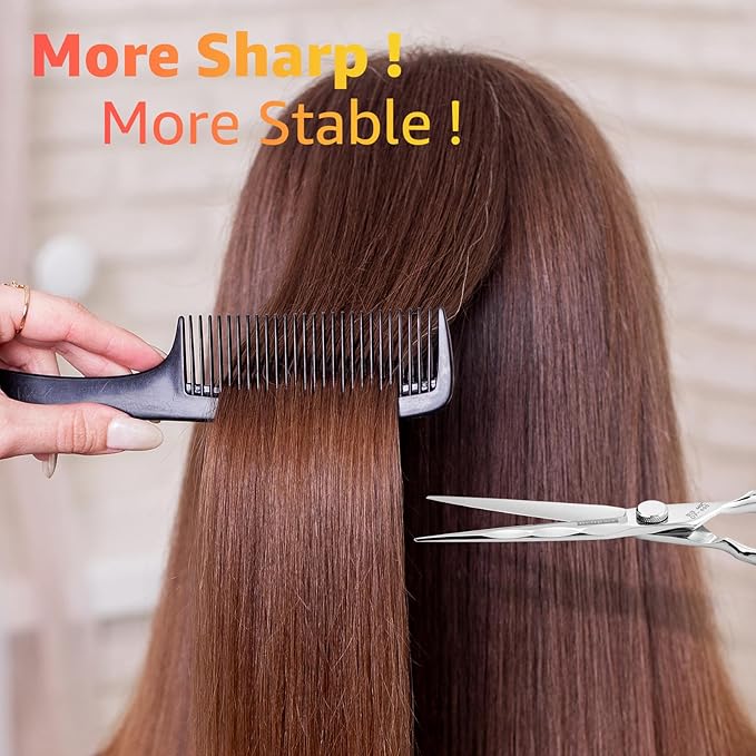Professional Hair Cutting Shears -SUS440C Stainless Steel Barber Scissors with Ergonomic Handle,Ultra Sharp Blades for Salon (Modern, 6.0)