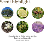 Young Living Calming, Relaxing Essential Oil Blend | 15 ml | Exotic Aroma with Copaiba, Lime, Lavender & Vanilla | Soothing Fragrance for Home, Work, and Personal Use