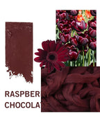 SIIA Cosmetics Change Agent Magnetic Original Lipstick in Raspberry Chocolate