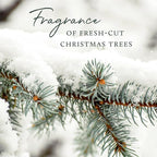 Thymes Home Fragrance Mist – Room Air Fresheners for Home Long Lasting – Air Freshener Spray – Pine Room Spray with Notes of Crisp Siberian Fir Needles, Cedarwood & Sandalwood (Frasier Fir, 3 oz)