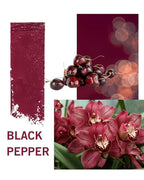 SIIA Cosmetics Change Agent Magnetic Original Lipstick in Black Pepper