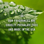P&J Trading Fragrance Oil | French Vanilla Oil 30ml - Candle Scents for Candle Making, Freshie Scents, Soap Making Supplies, Diffuser Oil Scents