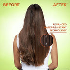 Garnier Fructis Sleek & Shine Full + Travel Size Shampoo (12.5 & 3 Fl Oz) + Conditioner (12 & 3 Fl Oz) Set for Frizzy, Dry Hair, Plant Keratin + Argan Oil (4 Items), 1 Kit (Packaging May Vary)