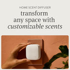 Drift Home Scent Diffuser Starter Kit in Teak - Adjustable and Long Lasting Diffuser Aroma - Clean Ingredients, Pet Safe