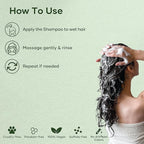 Botanic Hearth Peppermint Oil Shampoo | Hair Blooming Formula With Keratin For Thinning Hair | Fights Hair Loss, | Sulfate Free For Men And Women | 16 Fl Oz